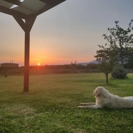 Fattoria Il Laghetto 3*