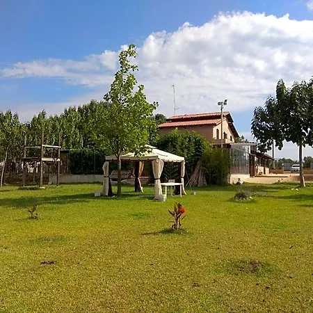 Fattoria Il Laghetto Panzió