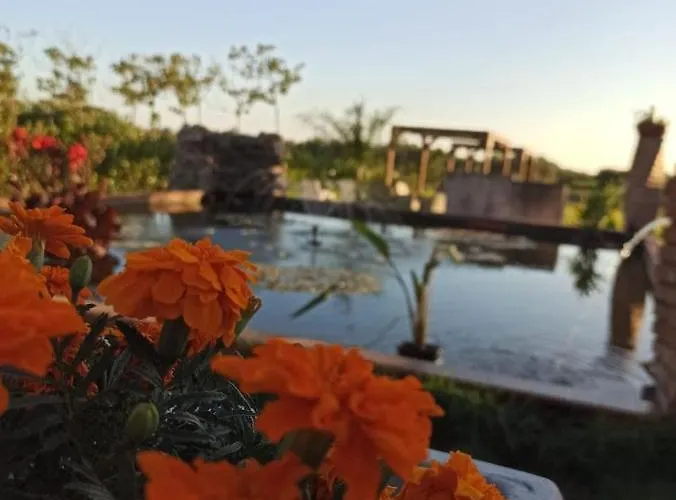 Fattoria Il Laghetto Lamezia Terme