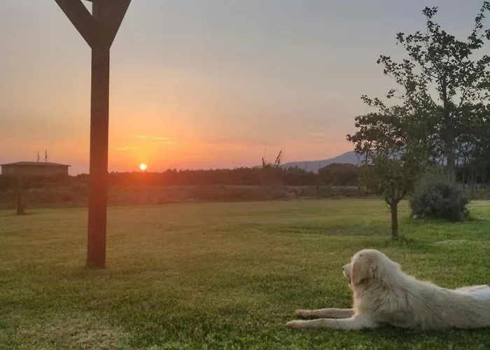 Fattoria Il Laghetto 3*